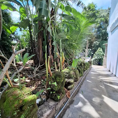 Palm House Ubud
