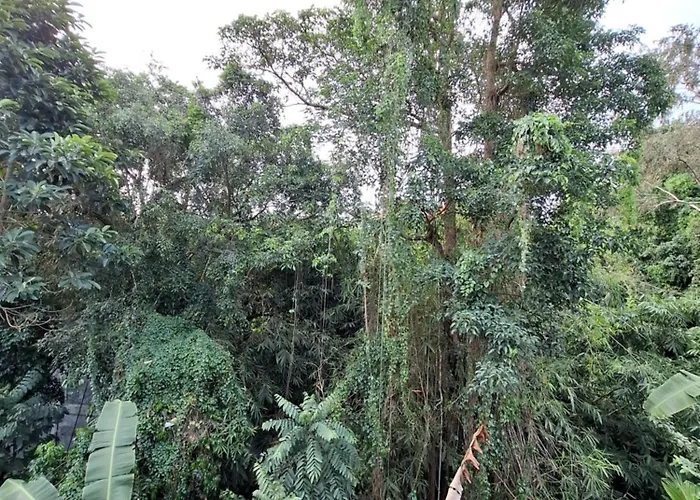 Gasthof Palm House