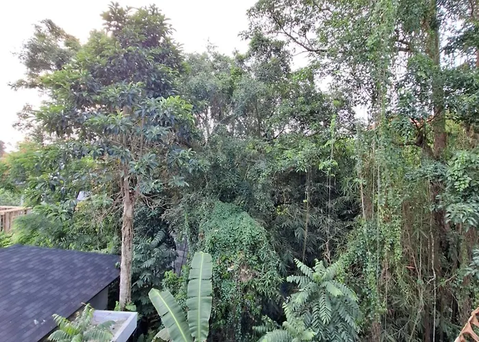 招待所 Palm House