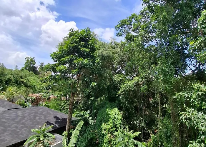 Palm House
