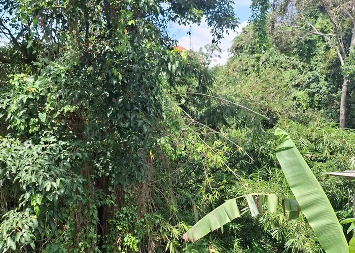 Konukevi Palm House Ubud