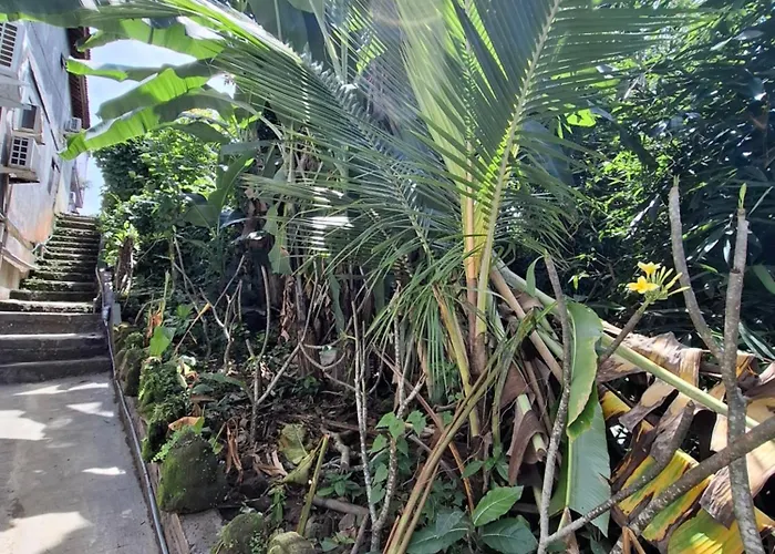 Palm House Ubud