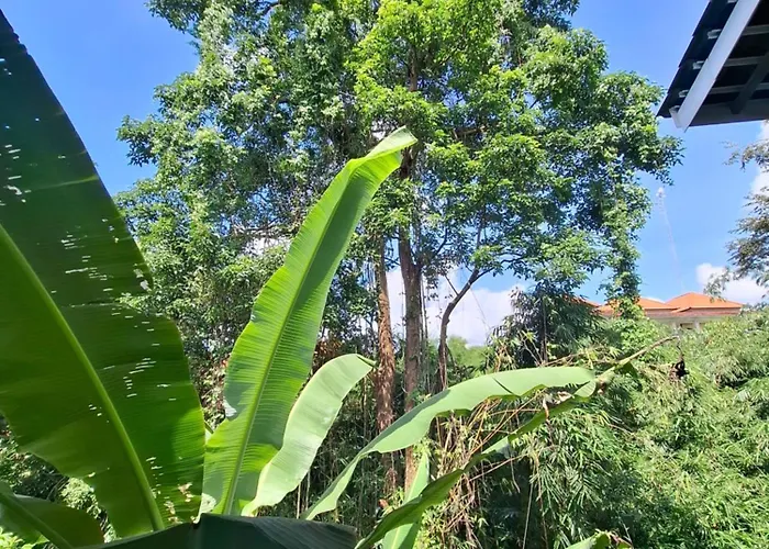 Palm House Gasthof Ubud